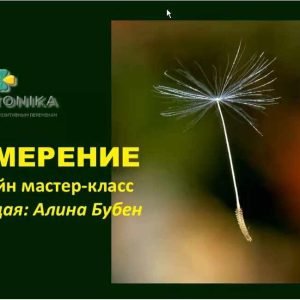 Намерение (Алина Бубен)