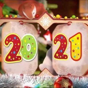 Новогодняя франшиза 2021 года