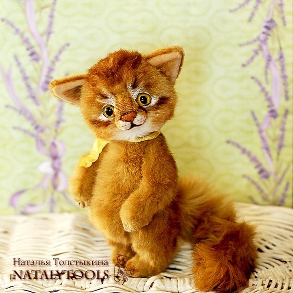 Кот (Наталья Толстыкина)