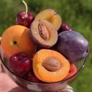 Вкус лета (Ольга Лапунова)