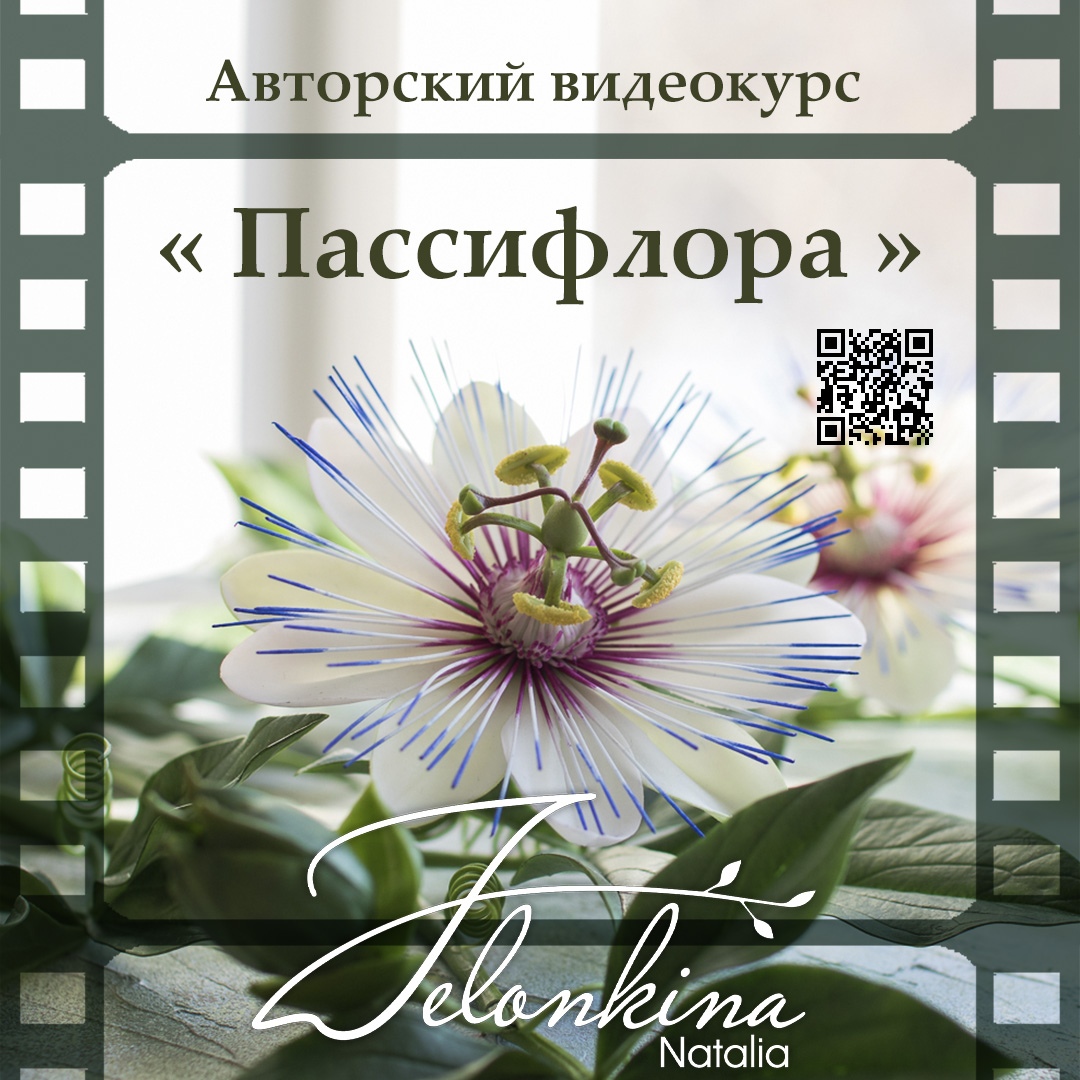 Пассифлора (Наталья Желонкина)